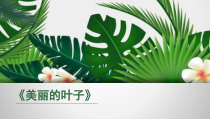 艺术【鄂教版】三年级下册《美丽的叶子》PPT课件