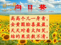 艺术【鄂教版】三年级下册《向日葵》PPT课件3