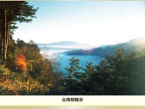 艺术【鄂教版】四年级下册《蝴蝶谷》PPT课件1