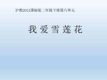 音乐【沪教版】二年级下册《我爱雪莲花》PPT课件(5