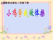 音乐【沪教版】二年级下册《小鸡学我做体操》PPT课件3