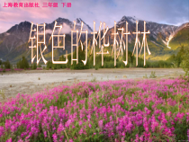 音乐【沪教版】三年级下册《唱歌 《银色的桦树林》《在卡吉德洛森林里》PPT课件1