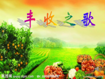 音乐【沪教版】四年级上册《丰收之歌》PPT课件1