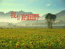 音乐【沪教版】四年级下册《唱歌 《我们的田野》《螃蟹歌》PPT课件2