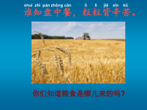 科学【教科版】一年级上册《科学阅读一：我们离不开植物》PPT课件（共17页）