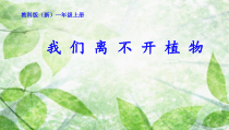 科学【教科版】一年级上册《科学阅读一：我们离不开植物》PPT课件（共14页）