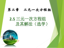 《2.5 三元一次方程组及其解法(选学)》PPT课件1-七年级下册数学浙教版