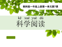 科学【教科版】一年级上册《科学阅读一：怎样观察一棵树》PPT课件