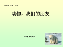 科学【教科版】一年级下册《科学阅读二：动物，我们的朋友》PPT课件（共24页）