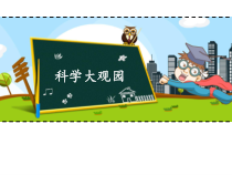 科学【教科版】一年级下册2.5《观察鱼》PPT课件6
