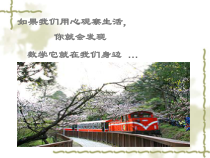 《5.1 分式》PPT课件1-七年级下册数学浙教版