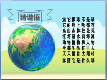 科学【教科版】二年级上册《地球家园中有什么》PPT课件（共11页）