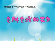 科学【教科版】二年级上册《各种各样的天气》PPT课件（共17页）