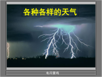 科学【教科版】二年级上册《各种各样的天气》PPT课件（共22页） (3)