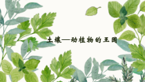 科学【教科版】二年级上册《土壤——动植物的乐园》PPT课件（共9页）