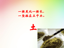 科学【教科版】二年级上册《土壤——动植物的乐园》PPT课件（共20页）