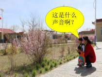 科学【教科版】二年级上册《做大自然的孩子》PPT课件（共16页）