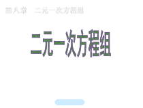 《2.2 二元一次方程组》PPT课件1-七年级下册数学浙教版