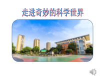 科学【教科版】二年级下册1.5《做一个指南针》PPT课件（共16页）