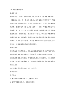 科学【教科版】二年级下册1.6《磁极间的相互作用》教学设计7