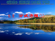 《5.5 分式方程》PPT课件1-七年级下册数学浙教版