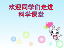 科学【教科版】二年级下册2.1《观察我们的身体》PPT课件（共16页）