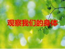 科学【教科版】二年级下册2.1《观察我们的身体》PPT课件（共12页）