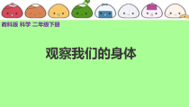 科学【教科版】二年级下册2.1《观察我们的身体》PPT课件（共18页） (2)