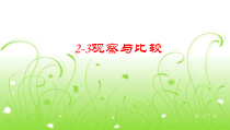 科学【教科版】二年级下册2.3《观察与比较》PPT课件（共7页）