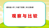 科学【教科版】二年级下册2.3《观察与比较》PPT课件（共13页）