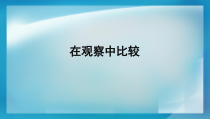 科学【教科版】二年级下册2.3《观察与比较》PPT课件（共14页）