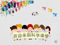 科学【教科版】二年级下册2.3《观察与比较》PPT课件（共15页）