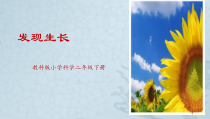 科学【教科版】二年级下册2.5《发现生长》PPT课件（共9页）