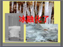 科学【教科版】三年级上册1.4《冰融化了》PPT课件(共10页)
