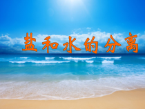 科学【教科版】三年级上册1.7《混合与分离-分离食盐与水》PPT课件(共16页)《(3)