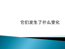 科学【教科版】三年级上册1.8《它们发生了什么变化》PPT课件(共8页)