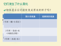 科学【教科版】三年级上册1.8《它们发生了什么变化》PPT课件(共9页)