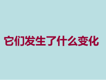 科学【教科版】三年级上册1.8《它们发生了什么变化》PPT课件(共10页)
