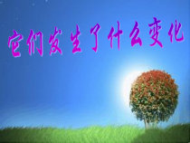 科学【教科版】三年级上册1.8《它们发生了什么变化》PPT课件(共11页)