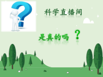 科学【教科版】三年级上册1.8《它们发生了什么变化》PPT课件(共21页)