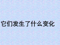 科学【教科版】三年级上册1.8《它们发生了什么变化》PPT课件(共27页)