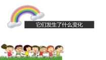 科学【教科版】三年级上册1.8《它们发生了什么变化》PPT课件1(共10页)