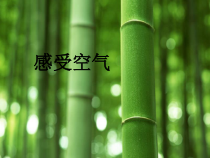 科学【教科版】三年级上册2.1《感受空气》PPT课件(共12页)《(1)