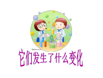 科学【教科版】三年级上册1.8《它们发生了什么变化》PPT课件(共15页)