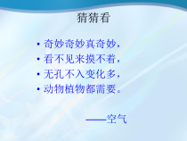 科学【教科版】三年级上册2.1《感受空气-了解空气》PPT课件(共13页)