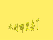 科学【教科版】三年级上册1.1《水到哪里去了》PPT课件(共12页)