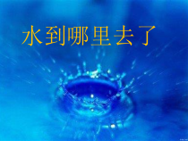 科学【教科版】三年级上册1.1《水到哪里去了》PPT课件(共13页) (2)