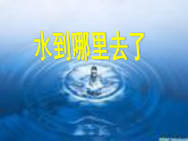 科学【教科版】三年级上册1.1《水到哪里去了》PPT课件(共16页)