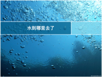 科学【教科版】三年级上册1.1《水到哪里去了》PPT课件(共14页)