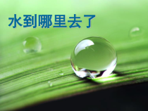 科学【新教科版】三年级上册1.1《水到哪里去了》PPT课件(共21页)